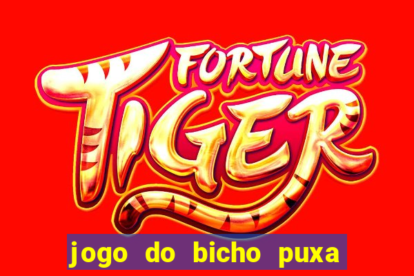 jogo do bicho puxa de dona maria